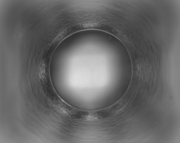 X0000052560308200507081642