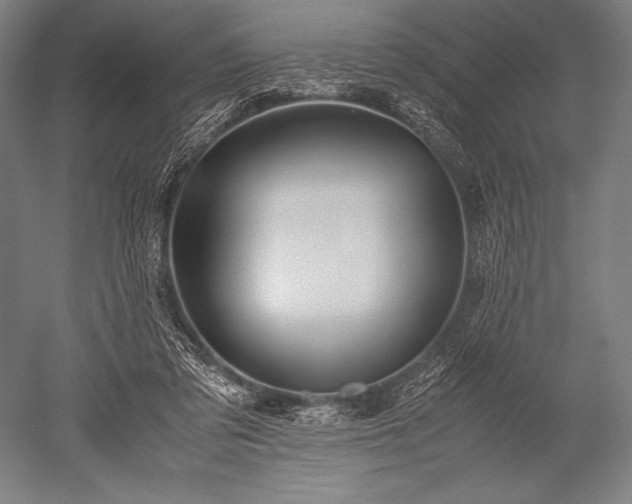 X0000052560309200507081642