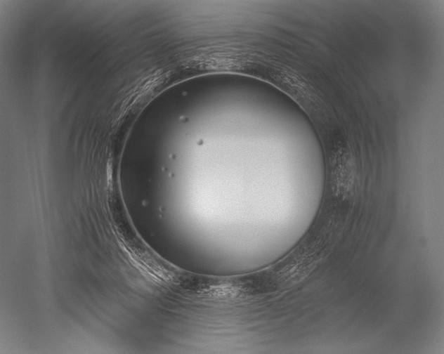 X0000052560310200507081642