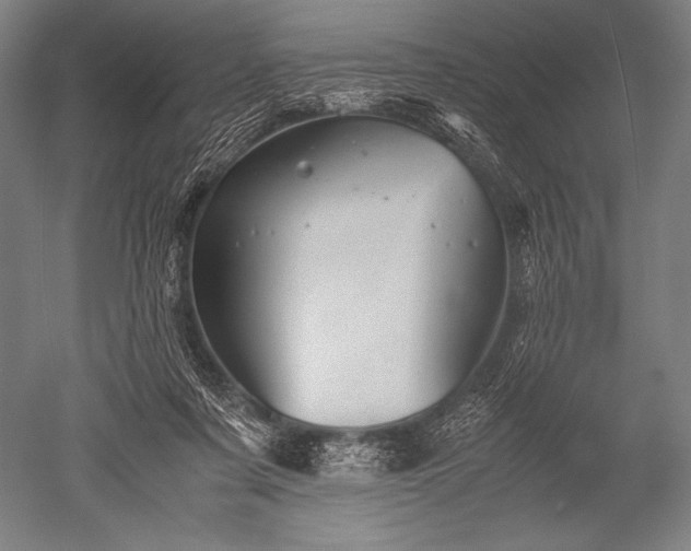 X0000052560311200507081642
