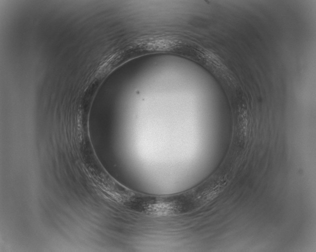 X0000052560312200507081642