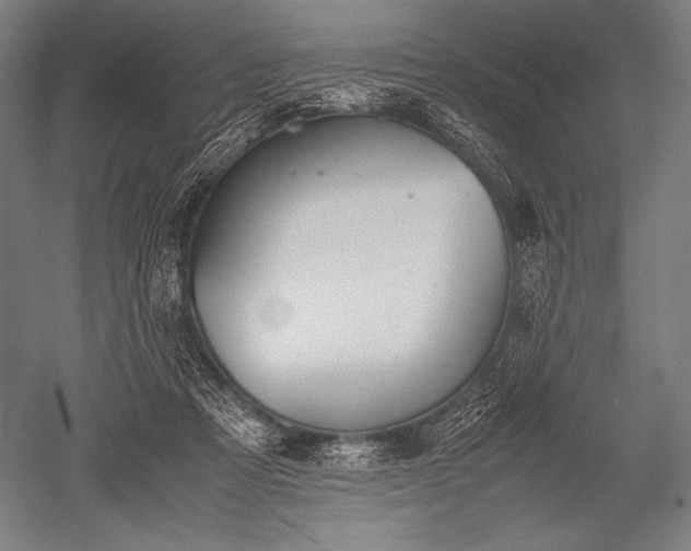 X0000052560313200507081642