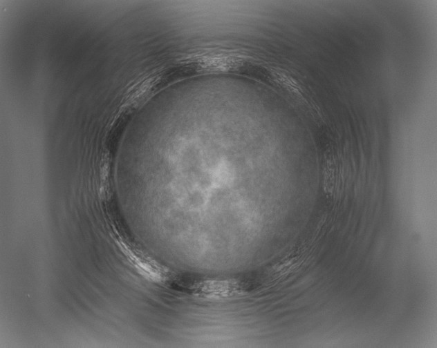X0000052560314200507081642