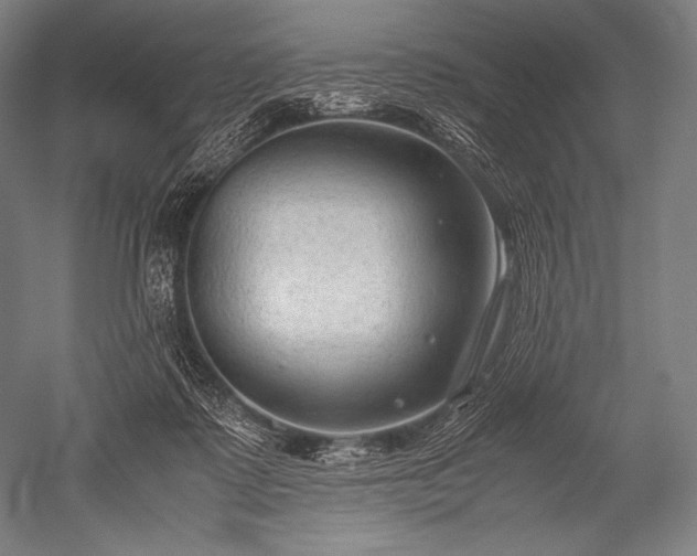 X0000052560315200507081642
