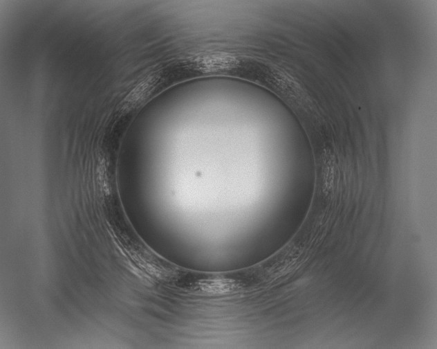 X0000052560316200507081642