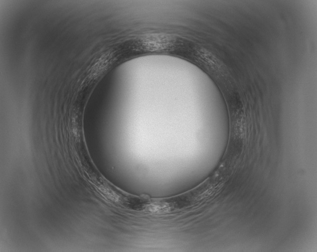 X0000052560317200507081642