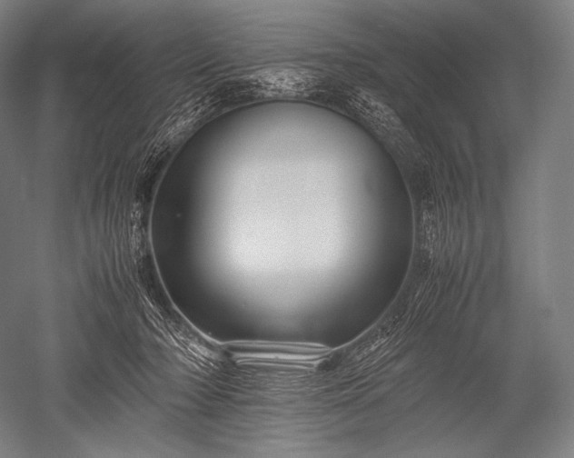X0000052560318200507081642