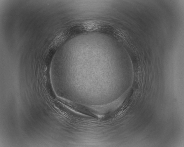 X0000052560319200507081642