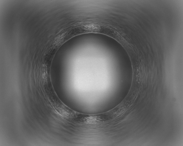 X0000052560320200507081642
