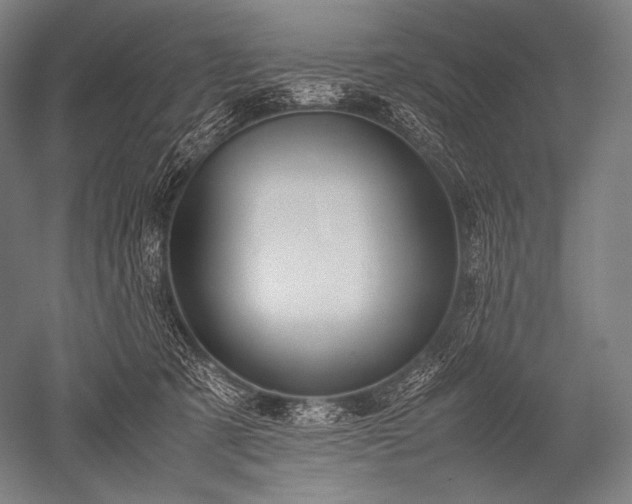 X0000052560321200507081642