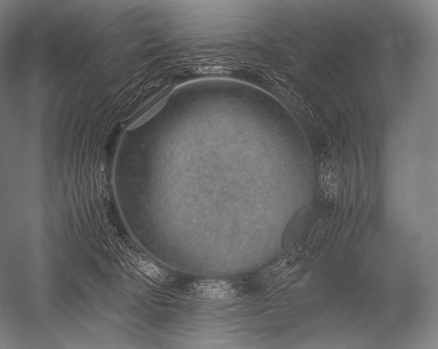 X0000052560322200507081642