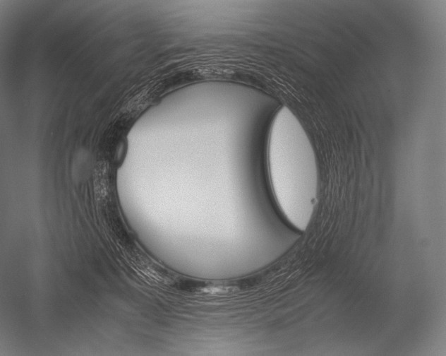 X0000052560323200507081642