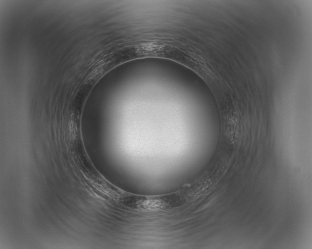 X0000052560324200507081642