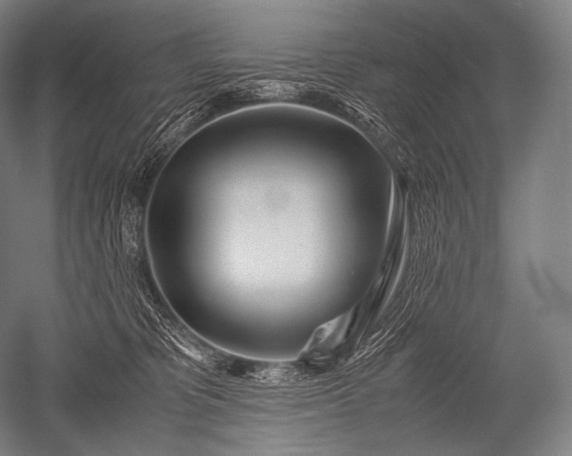 X0000052560325200507081642