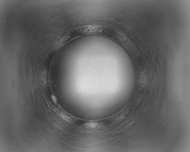 X0000052560326200507081642