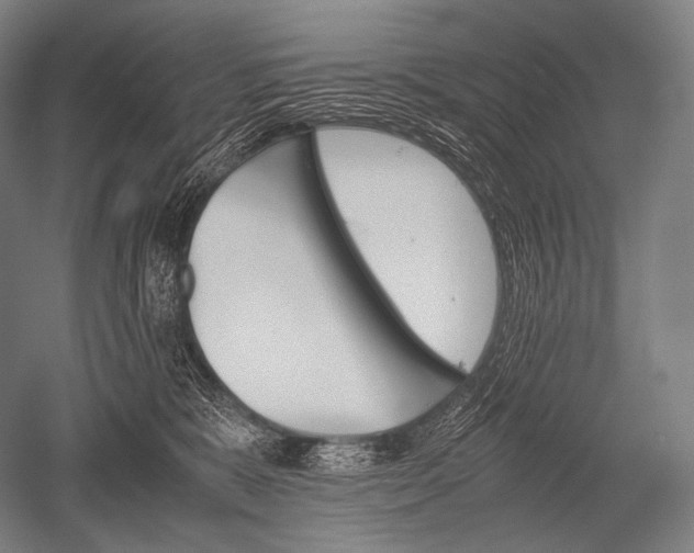 X0000052560327200507081642