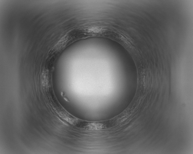 X0000052560328200507081642