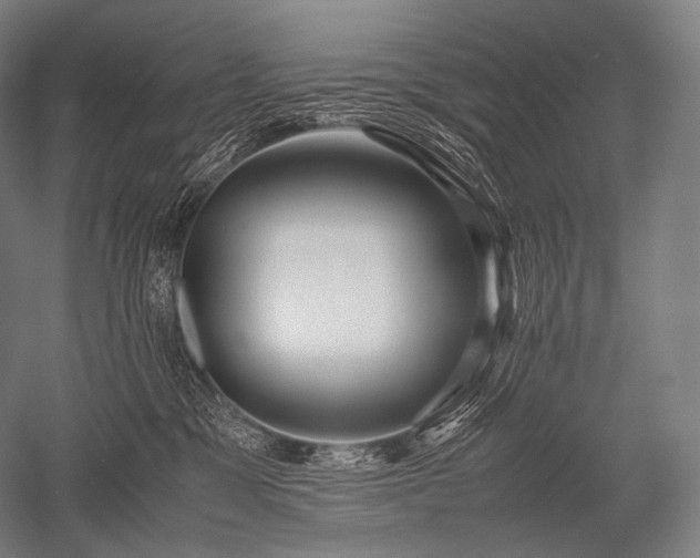 X0000052560329200507081642