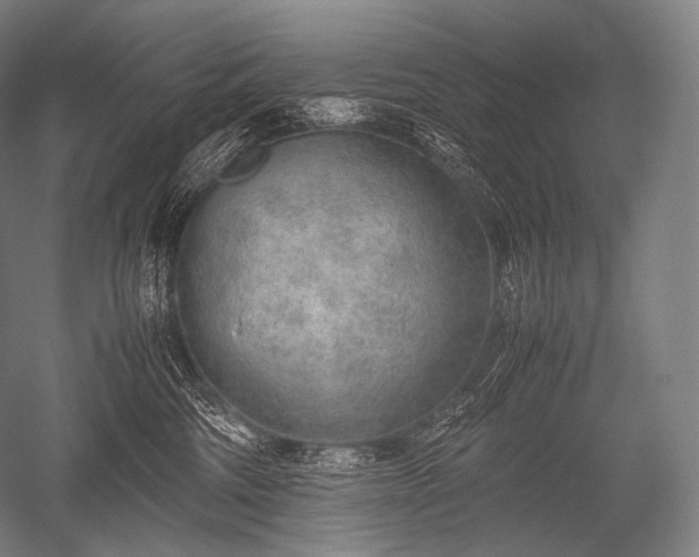 X0000052560330200507081642