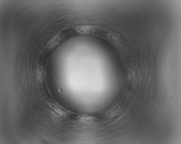 X0000052560332200507081642