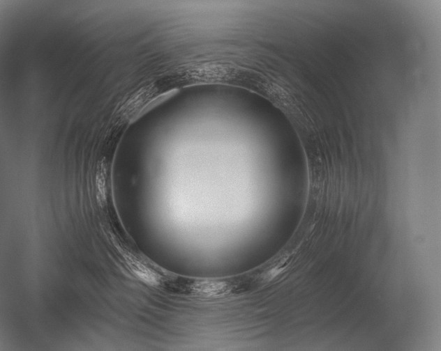 X0000052560334200507081642