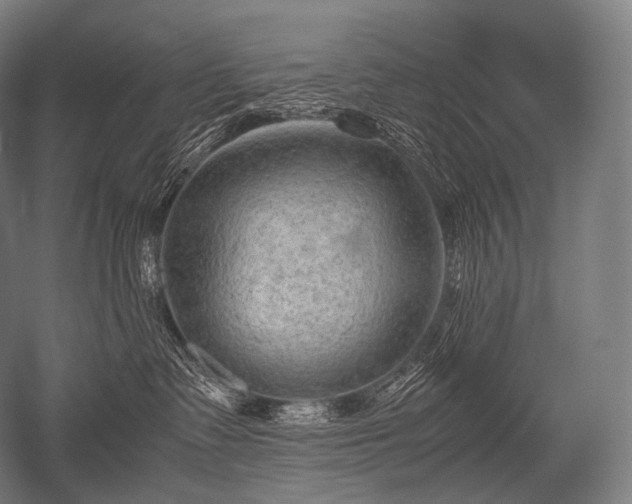 X0000052560335200507081642