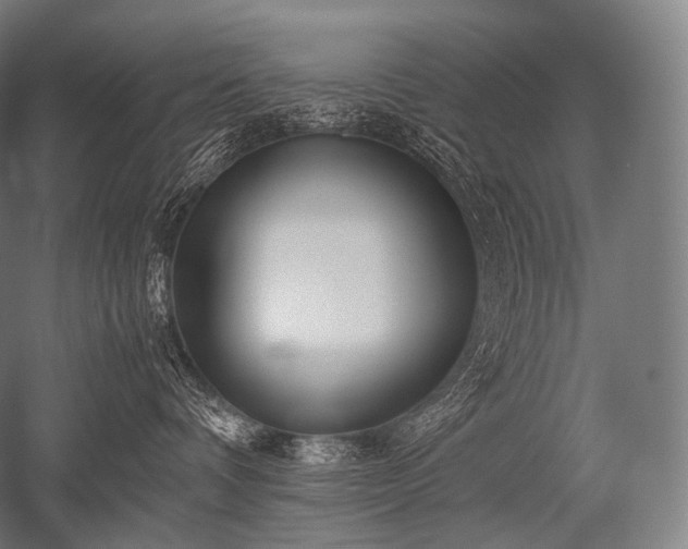 X0000052560336200507081642