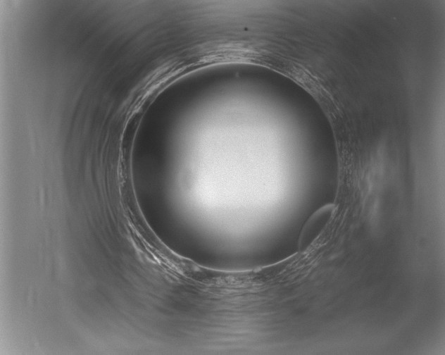 X0000052560338200507081641