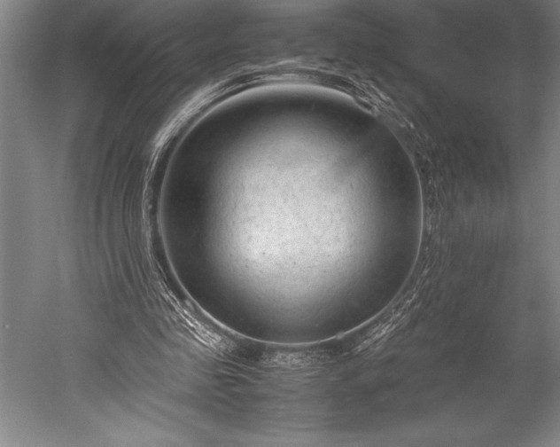 X0000052560341200507081641