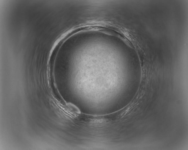X0000052560342200507081641