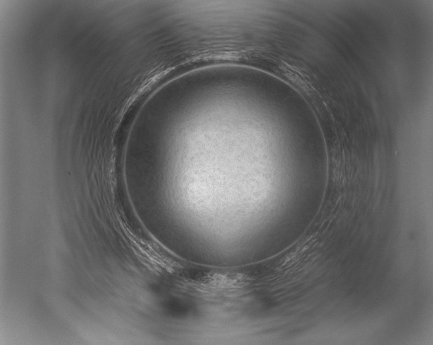 X0000052560346200507081641