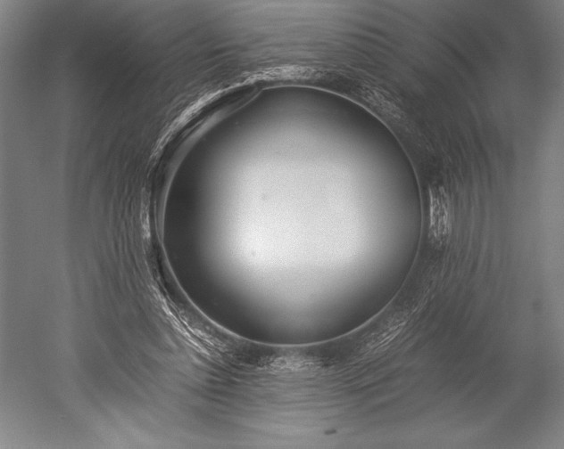 X0000052560348200507081641