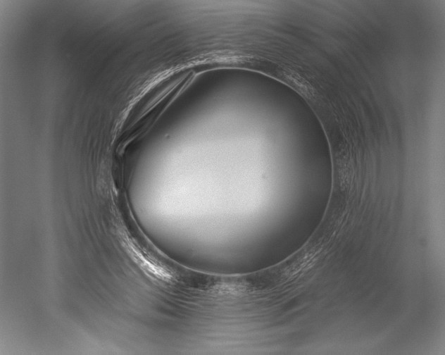 X0000052560350200507081641