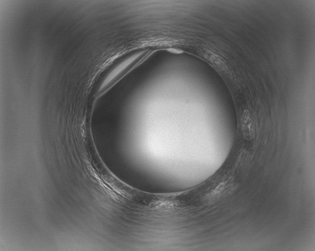 X0000052560352200507081641