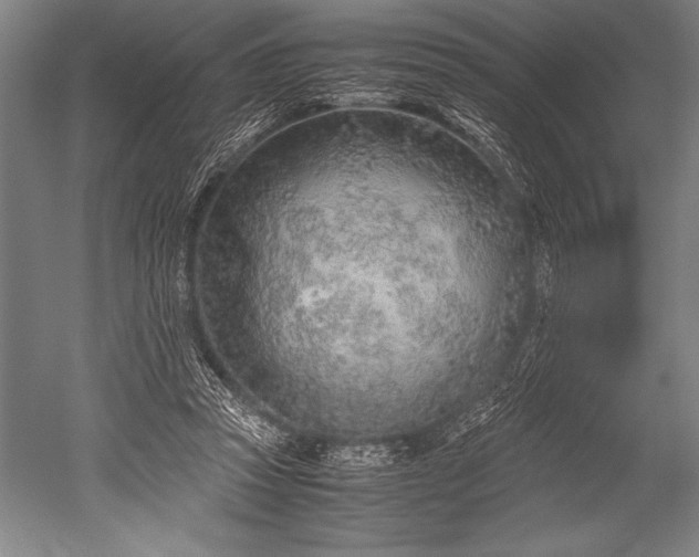 X0000052560353200507081641