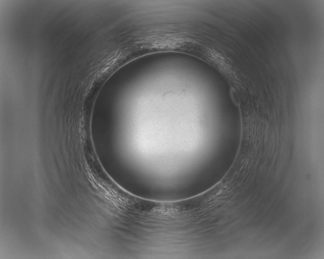 X0000052560354200507081641