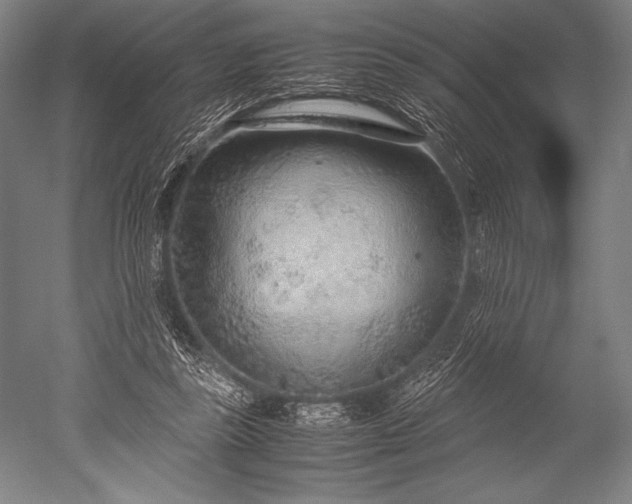 X0000052560355200507081641