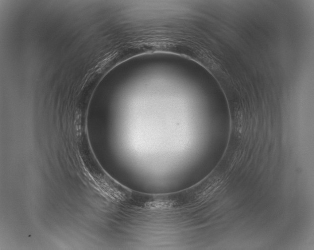 X0000052560356200507081641
