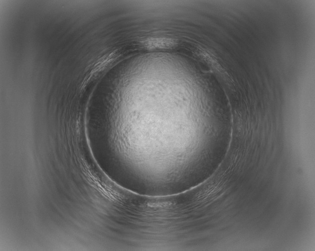 X0000052560357200507081641