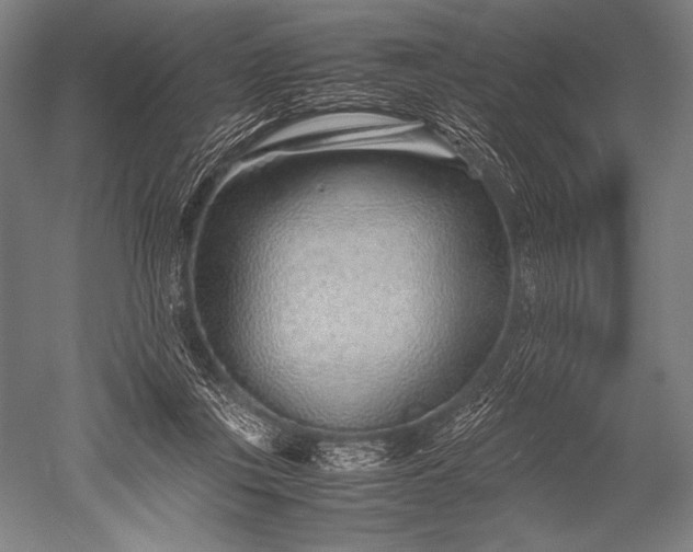 X0000052560359200507081641