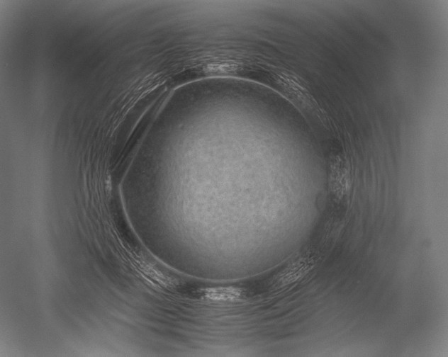 X0000052560363200507081642