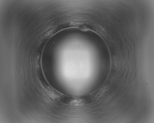 X0000052560364200507081642