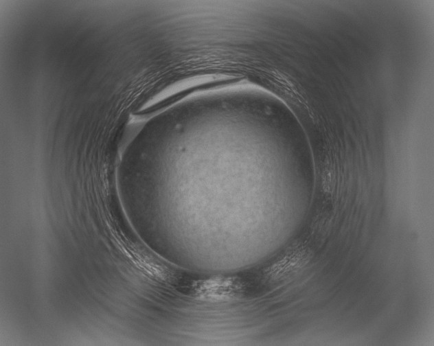 X0000052560366200507081642
