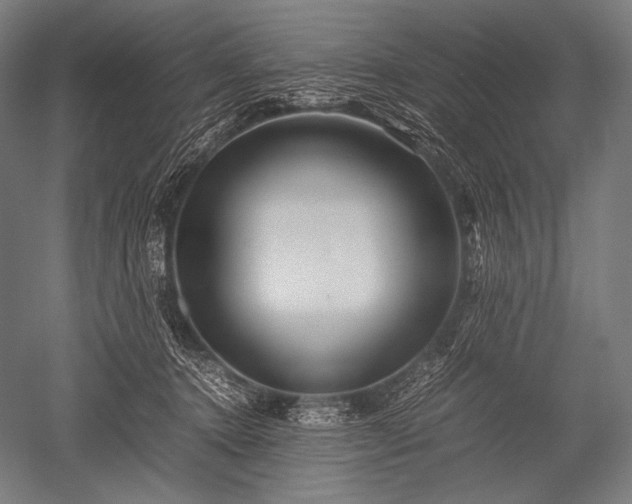 X0000052560368200507081642