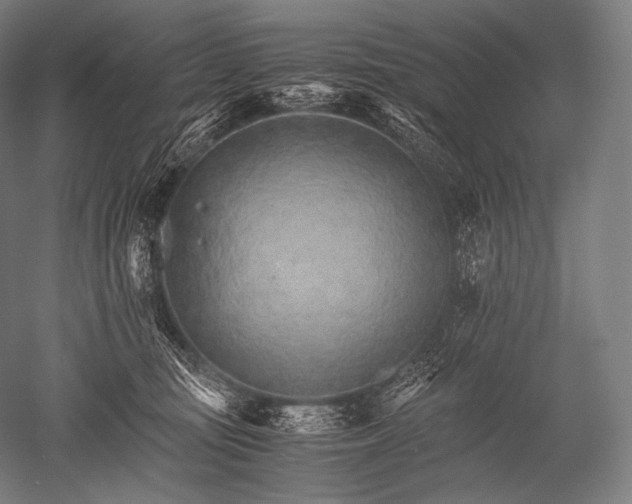X0000052560371200507081642