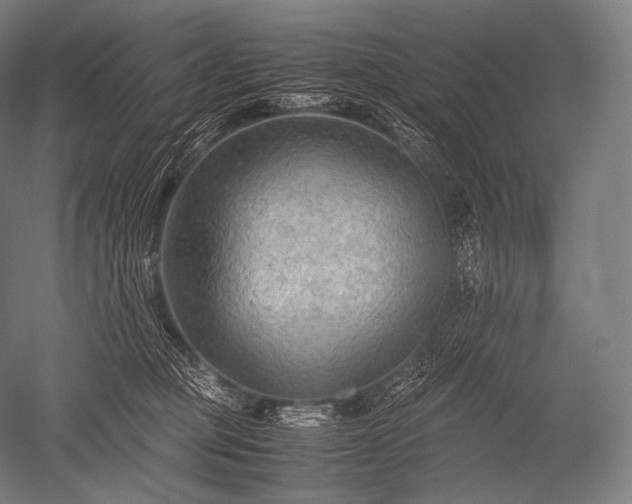 X0000052560373200507081642