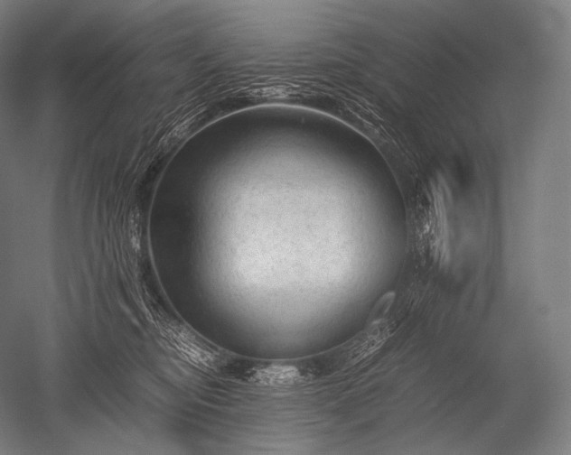 X0000052560374200507081642