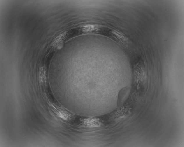 X0000052560375200507081642