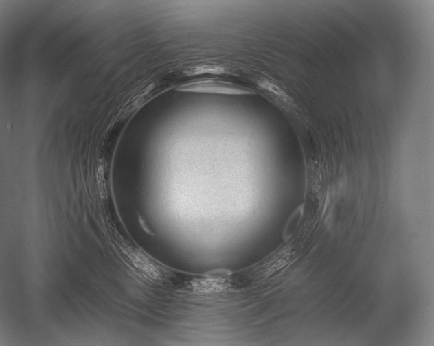 X0000052560378200507081642
