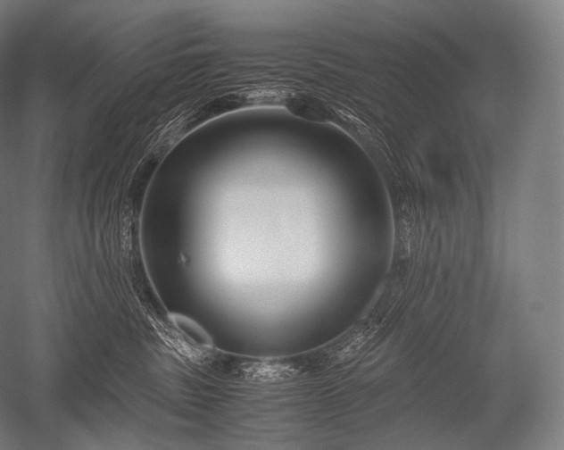 X0000052560379200507081642